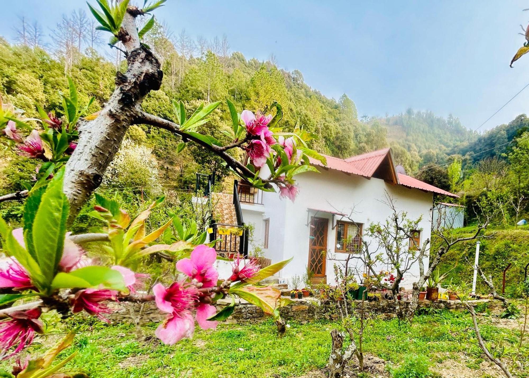 Love'S Farm, Cottage In Ramgarh Exteriér fotografie